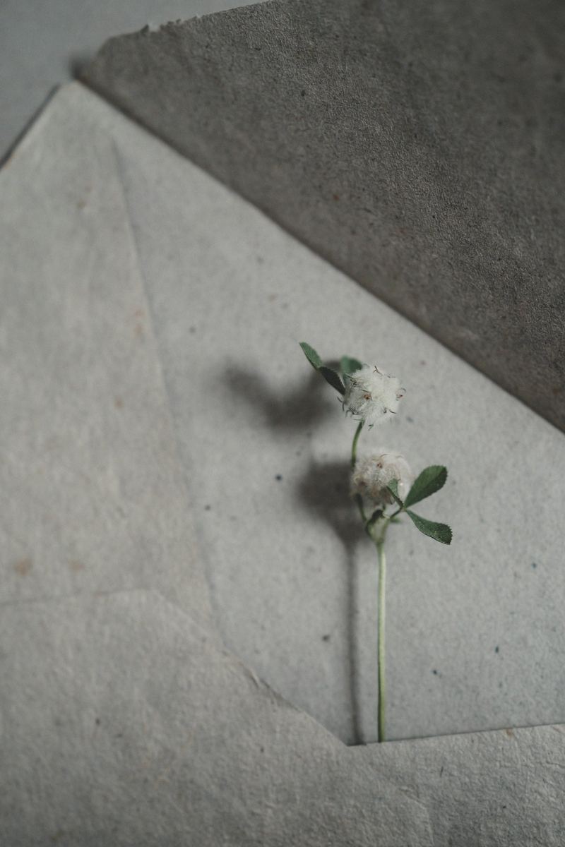 Zarte Blüten auf einem grauen Umschlag